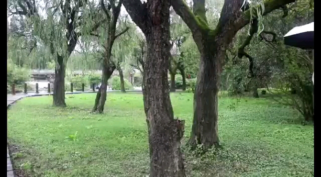 [图]雨伞姐妹情，就这么甜！