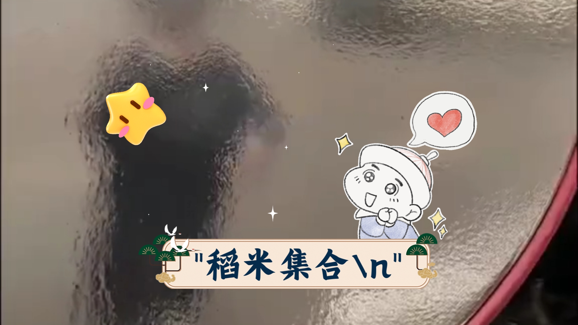 稻米集合哔哩哔哩bilibili