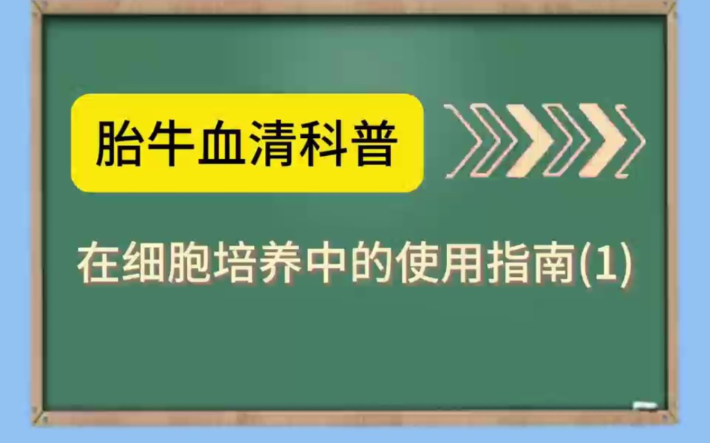 胎牛血清科普之在细胞培养中的使用指南(1)哔哩哔哩bilibili