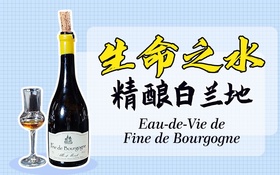 【Fine de Bourgogne】生命之水精酿白兰地 勃艮第伯恩标杆名庄Albert Morot迈豪庄酒泥白兰地哔哩哔哩bilibili