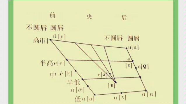 舌面元音 舌位图图片