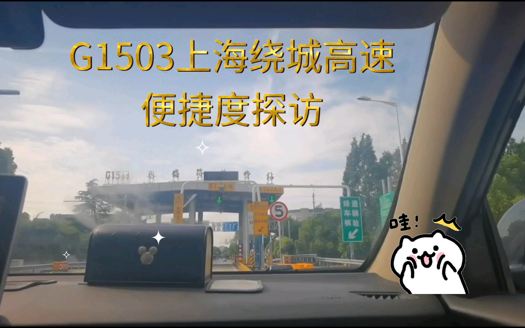 上海g1503高速公路图片