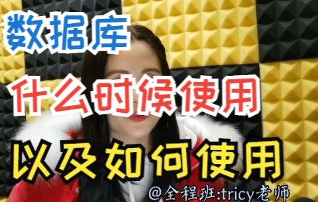 什么时候会使用数据库,以及如何用?哔哩哔哩bilibili