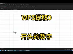 Download Video: 3-8WPS提取0开头的数字