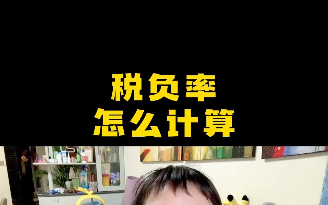 税负率怎么计算哔哩哔哩bilibili