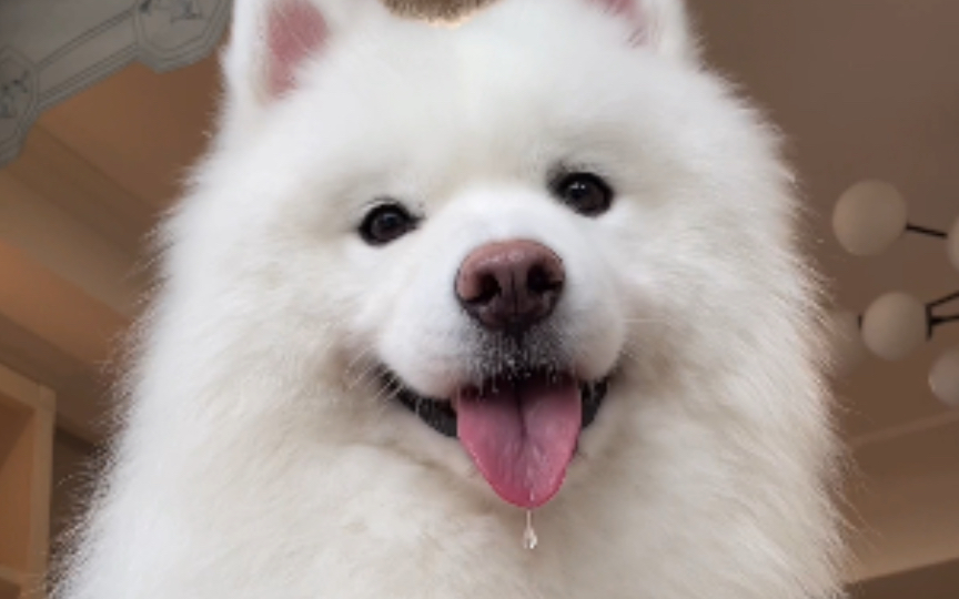 我有你流口水时的照片