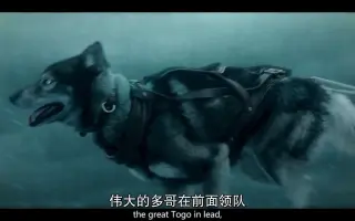 狗狗与配乐 搜索结果 哔哩哔哩 Bilibili