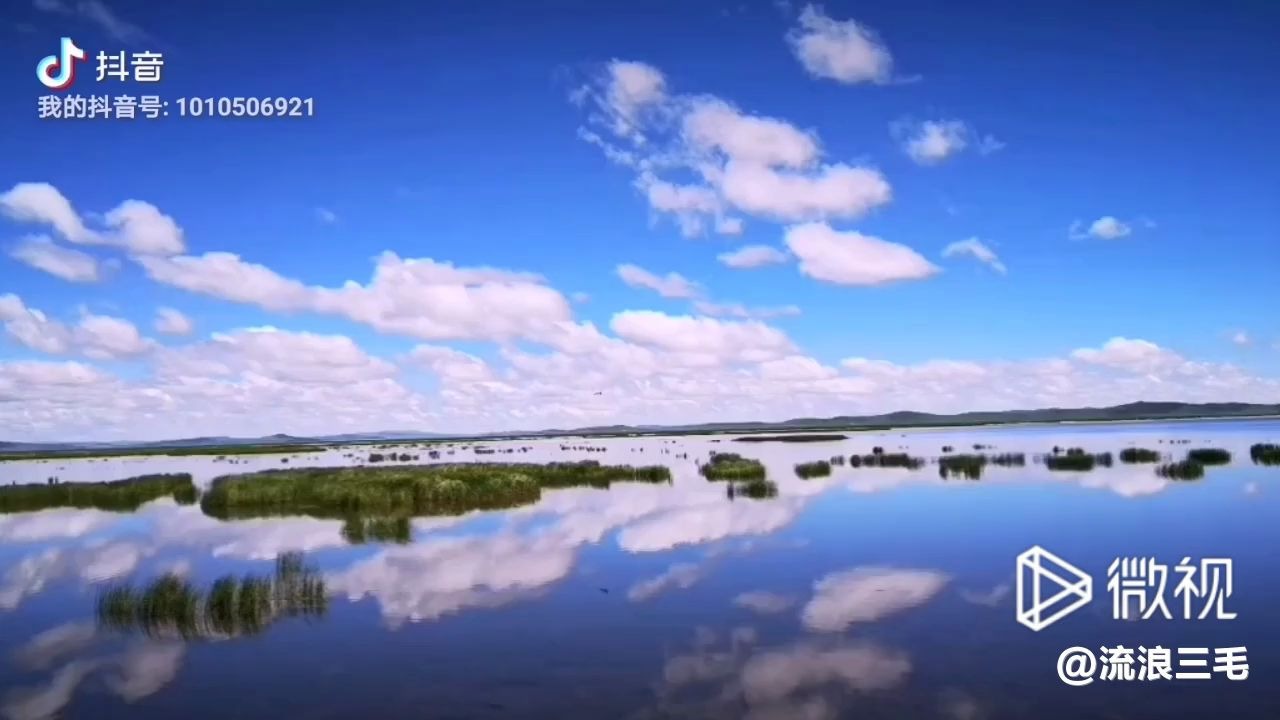 [图]九色甘南～若尔盖草原花湖美景