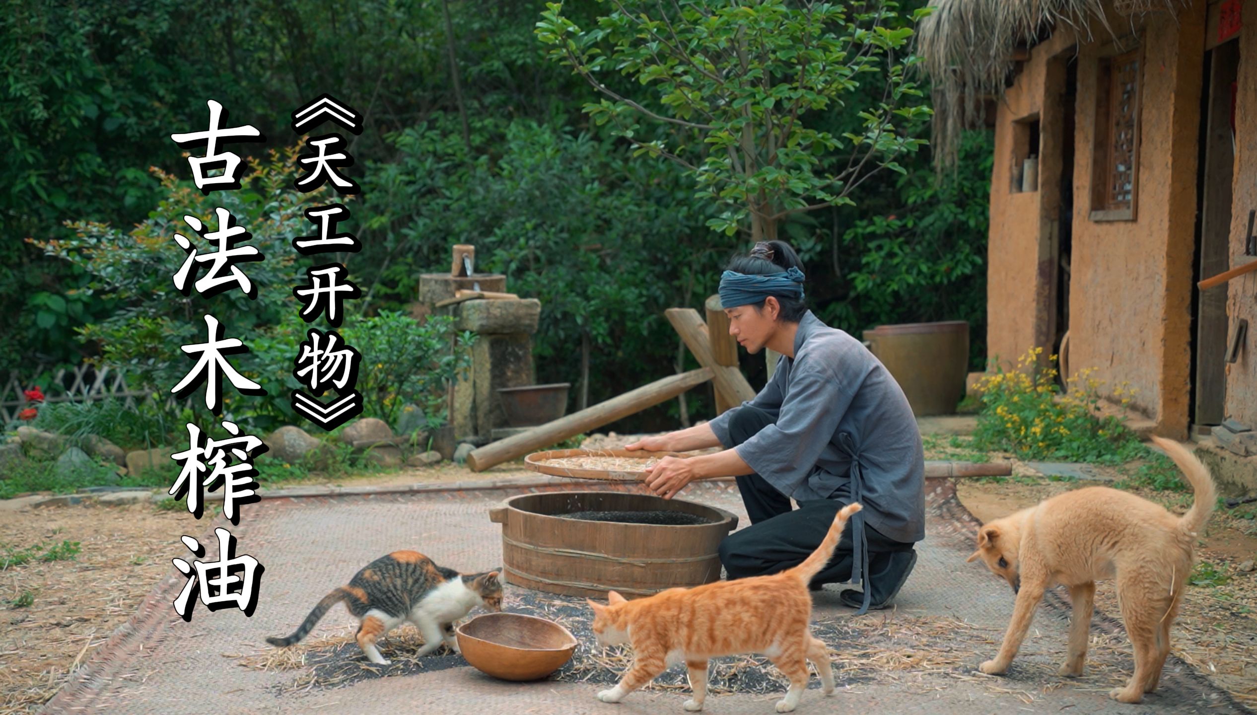 还原《天工开物》古代食用油的制作全过程——古法木榨油哔哩哔哩bilibili