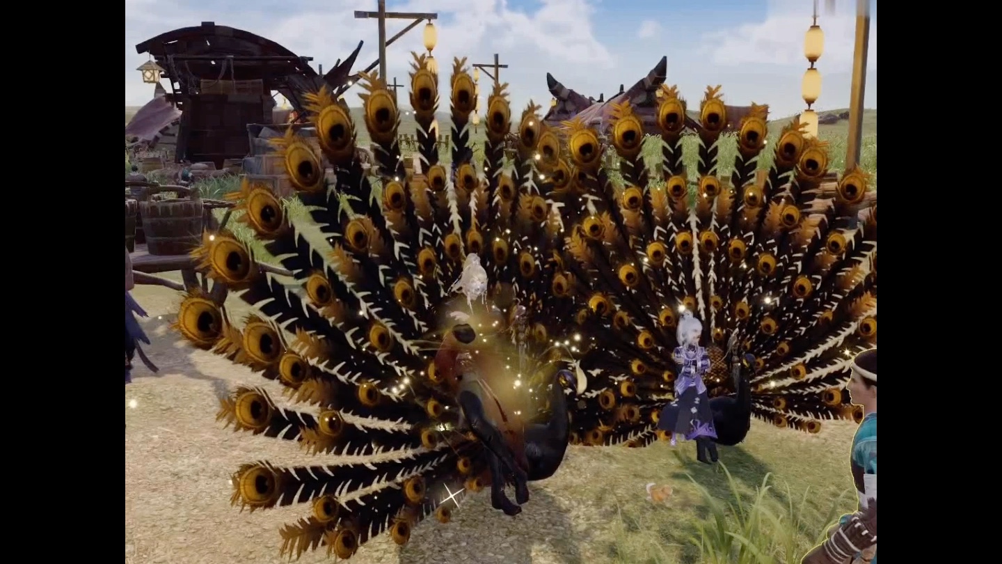 with 呱师傅  |谪仙挂件 ·黑孔雀