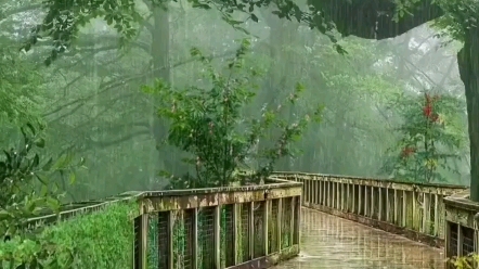 [图]文世民雨中诵读苏轼《定风波•莫听穿林打叶声》 寒冬向暖，逆境顺生，风雨骤至，我自徐行。