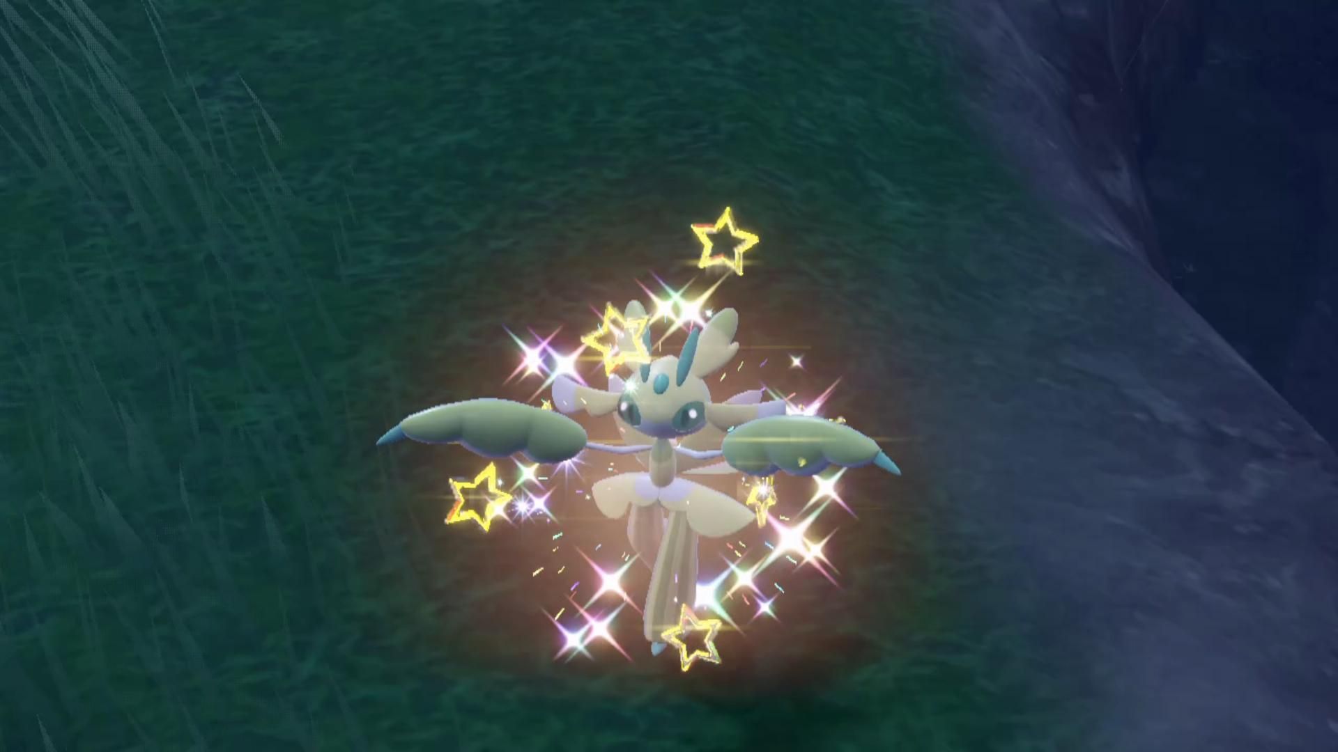 朱紫丨路闪无证兰螳花