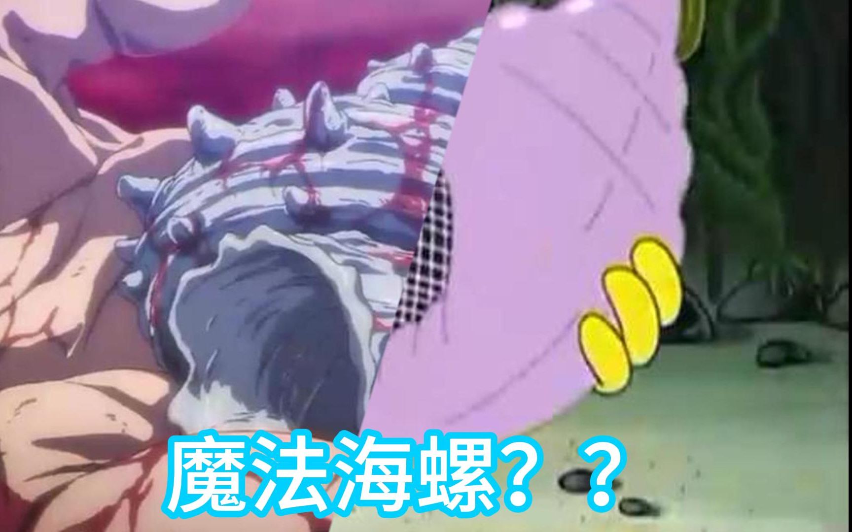 魔 魔 .魔法海螺?