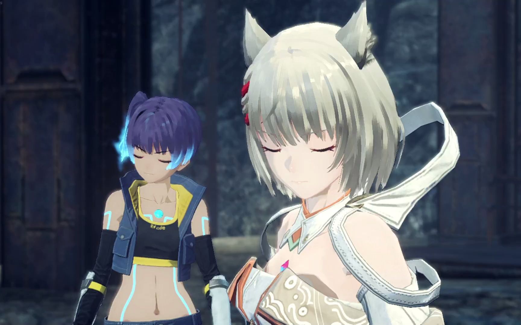 switch异度神剑3p17