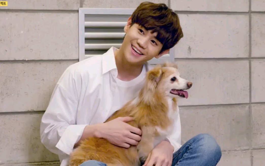 【梁耀燮】今天不回羊羹家 领养代替购买_哔哩哔哩_bilibili