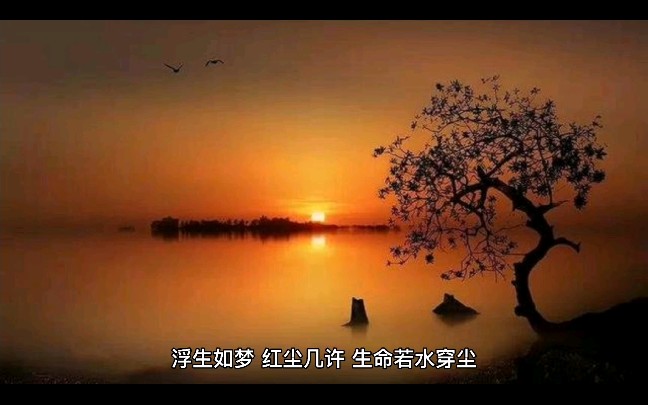 夏未央,夜微凉哔哩哔哩bilibili