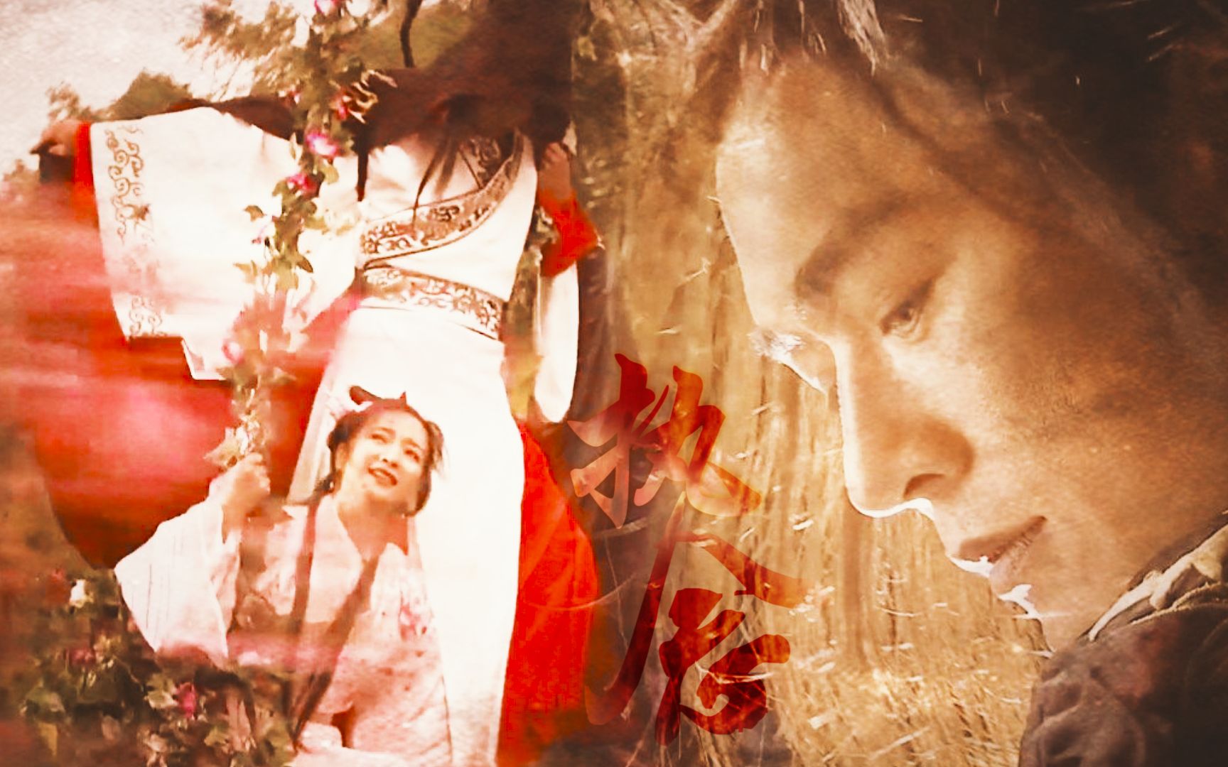 夏雪宜温仪焦恩俊何晴世事无常造化弄人碧血剑金蛇郎君斯德哥尔摩天下