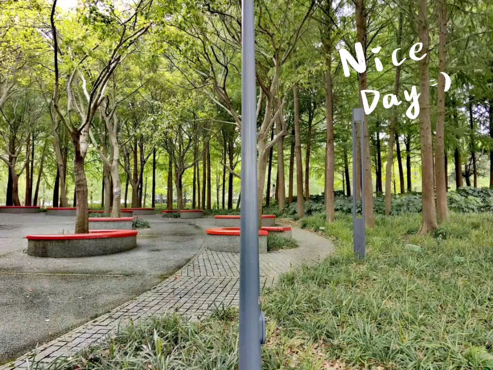 画面太美,不敢想象