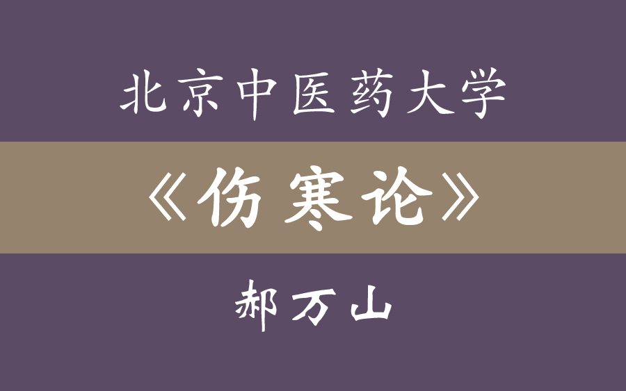 北京中医药大学《伤寒论》郝万山(70集全)-影前微澜-专业学习-哔哩