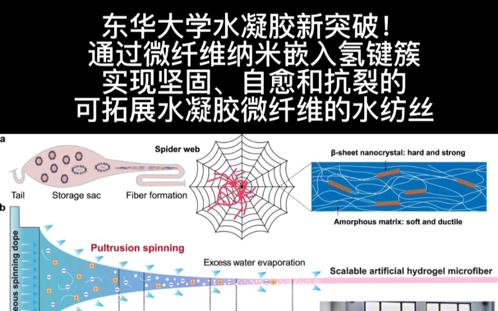 东华大学水凝胶新突破!通过微纤维纳来嵌入氢键簇,实现坚固、自愈和抗裂的可拓展水凝胶微纤维的水纺丝哔哩哔哩bilibili