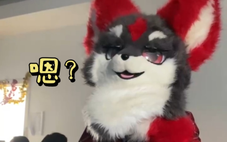 【furry】当兽兽参加辅导班毕业典礼(暗藏只因)哔哩哔哩bilibili