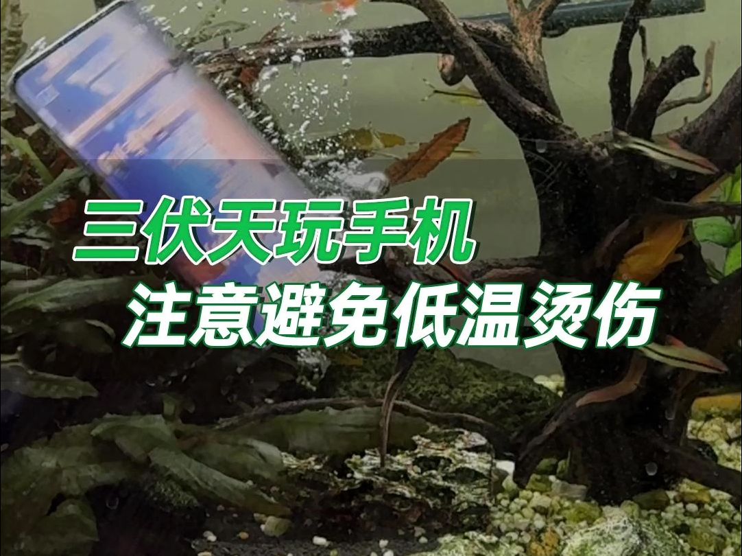 夏天手机发热烫手,怎么办?