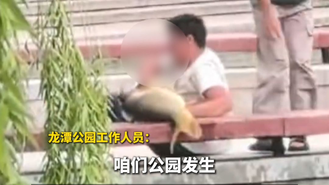 太原龙潭公园数名男子捞起大鱼就跑，公园：已报警处理