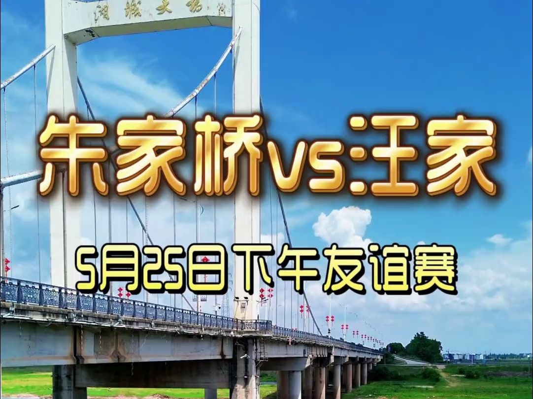 杨梅桥汪家龙舟队VS朱家桥龙舟队,那家更胜一筹?哔哩哔哩bilibili