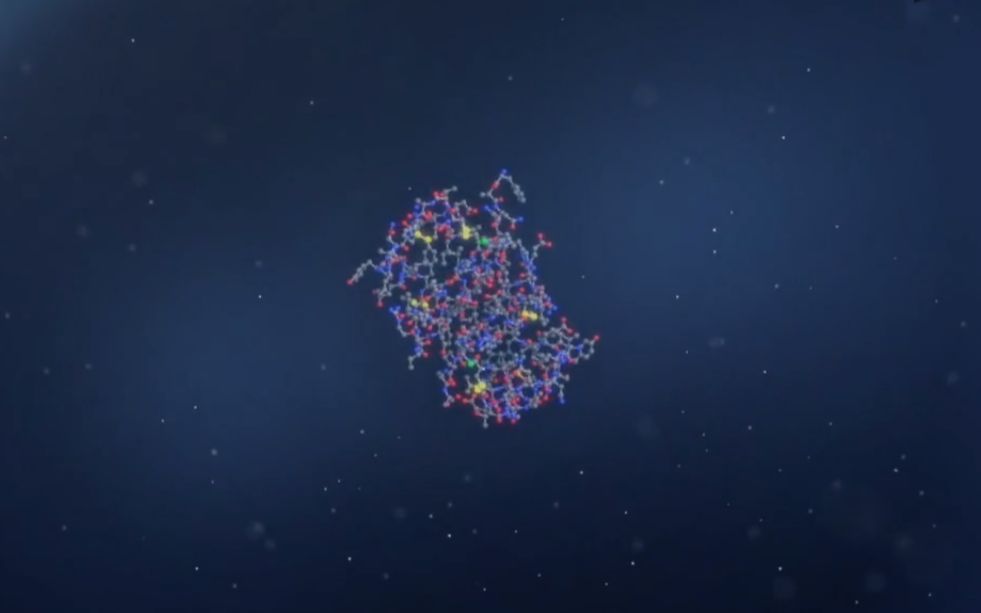 生物化学学习方法系列【南京大学】杨荣武哔哩哔哩bilibili