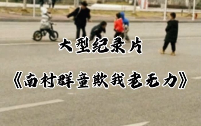 南村群童欺我老无力.哔哩哔哩bilibili