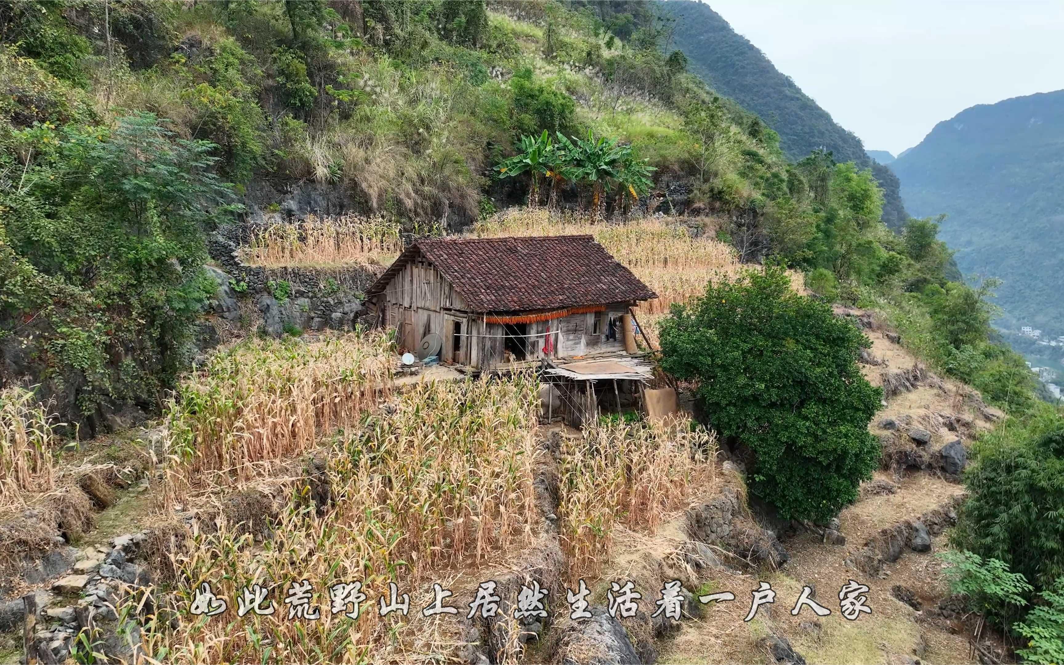 [图]航拍广西高山上的孤家寡人，不通车路生活自给自足，简直是仙境