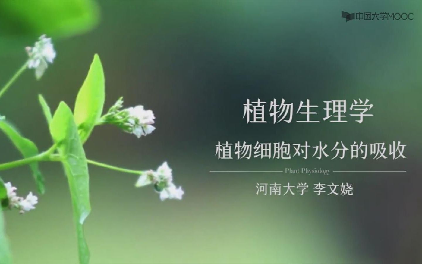 [图]植物生理学_河南大学