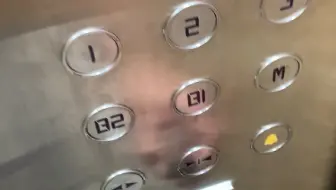 变色龙模拟电梯卡