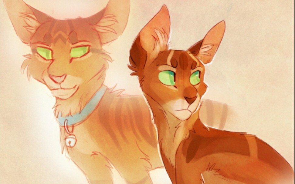 猫武士火星和斑叶图片
