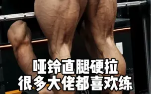 Download Video: 哑铃直腿硬拉简直是地狱