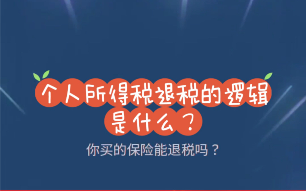 个人所得税退税的逻辑是什么?哔哩哔哩bilibili