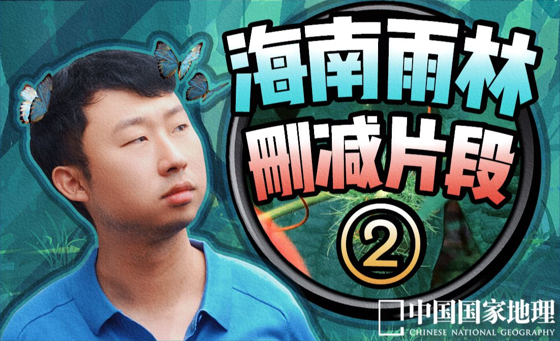 在“雨林小卖部”消费完毕,狐主任看到了如此巨物...-中国国家地理-中国国家地理-哔哩哔哩视频