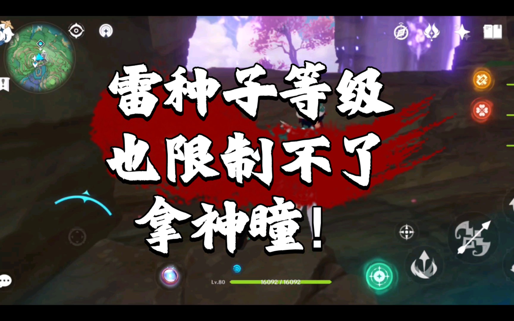 原神雷种子等级是什么能拦得住我拿神瞳吗