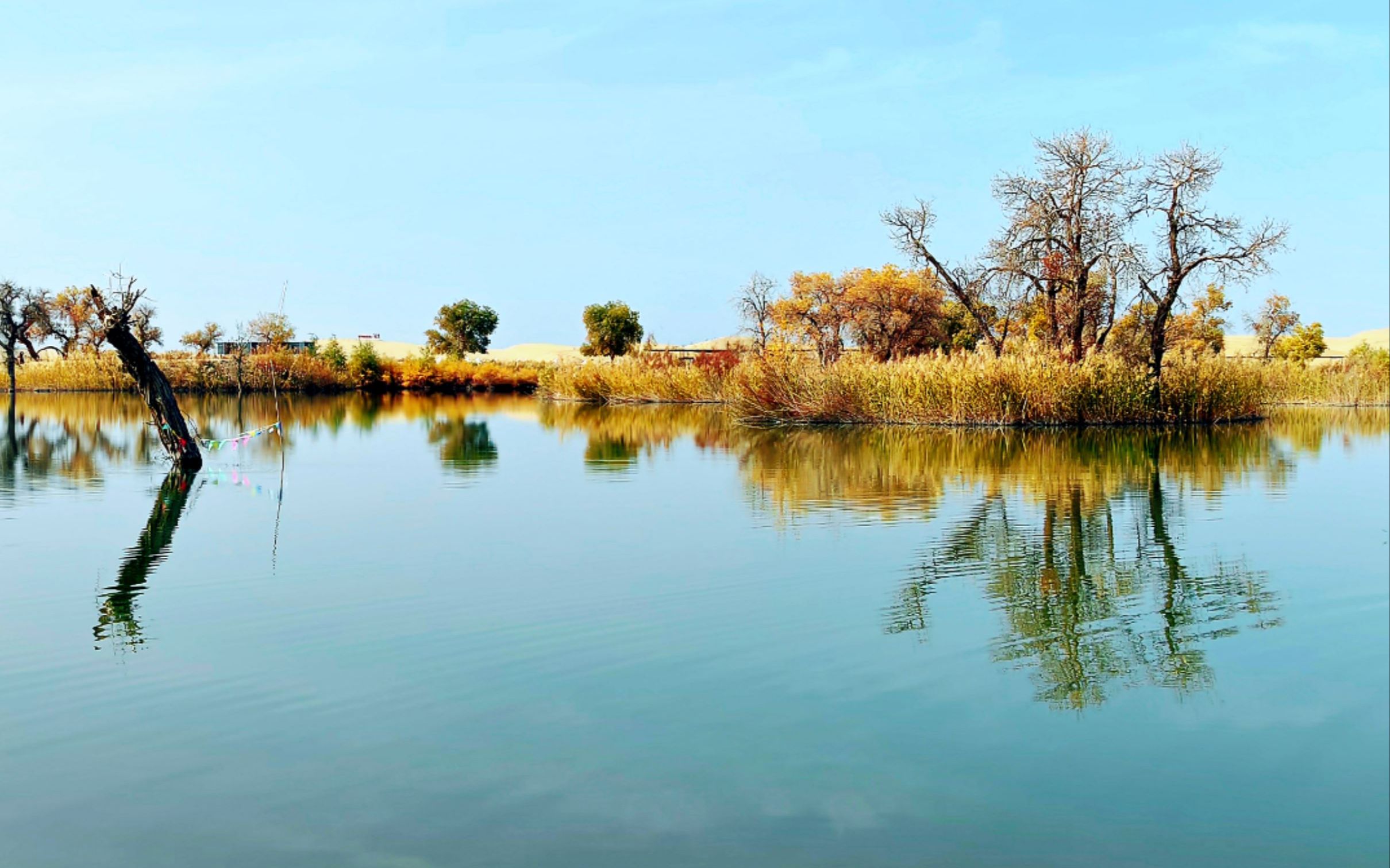 新疆罗布人村寨