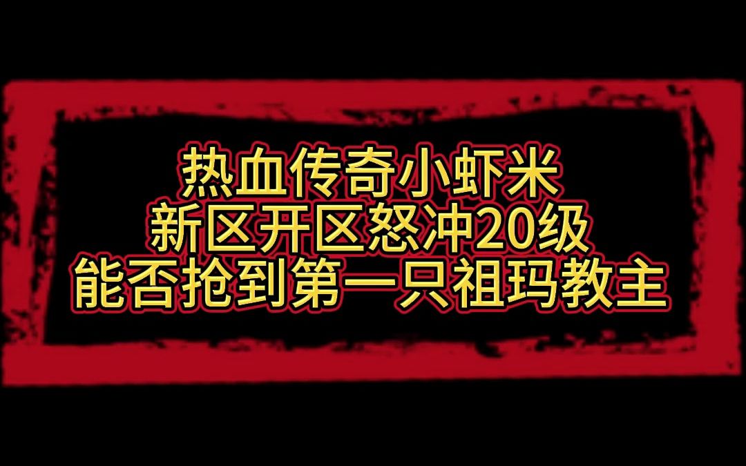 [图]热血传奇小虾米新区怒冲20级能否拿下第一只祖玛教主？