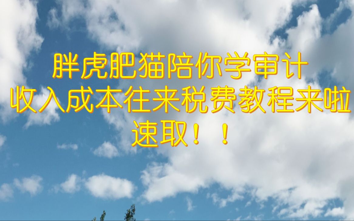 收入成本往来审计实操教程来啦哔哩哔哩bilibili