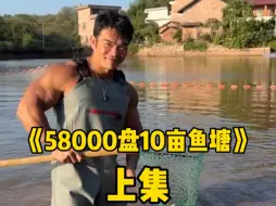 Download Video: 58000包10亩鱼塘，还有一千多斤鳜鱼， 你们觉得这次赚还是亏？