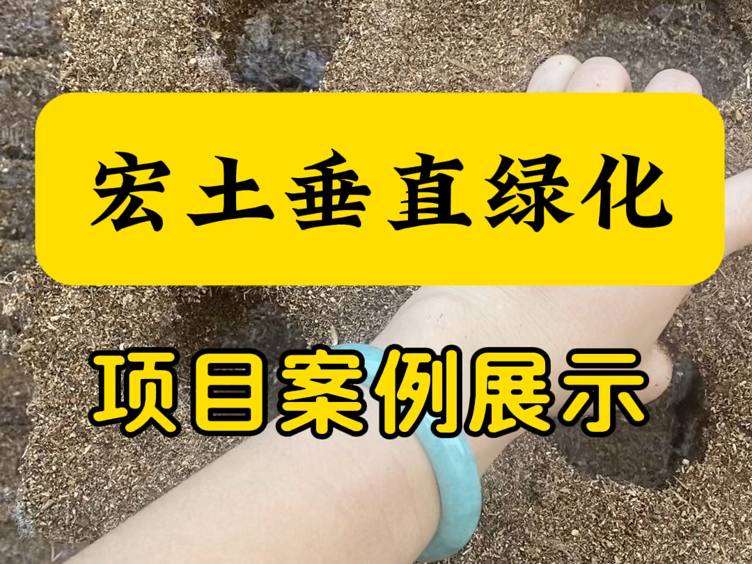 这个视频给大家展示一下宏土打造的垂直绿化案例,觉得不错的可以关注一下哟.#宏土 #垂直绿化 #立体绿化 #植物墙 #绿化工程哔哩哔哩bilibili