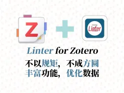 Download Video: 【Zotero7插件】Linter for Zotero