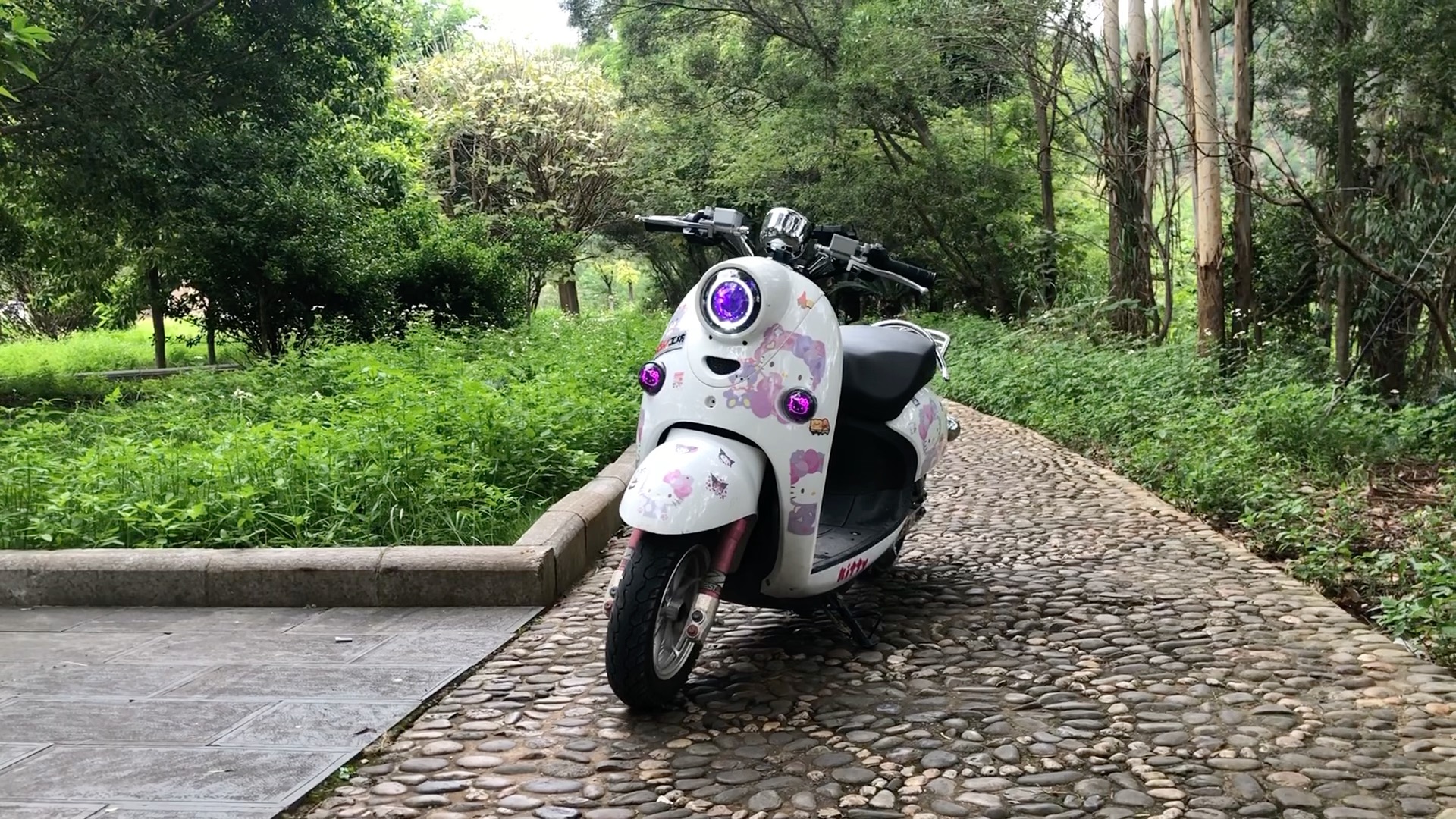 【拥有一辆可爱的龟五】第一支视频求三连!