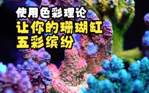 Скачать видео: 使用色彩理论让你的珊瑚缸五彩缤纷Making my Acropora reef tank more colorful using color theory