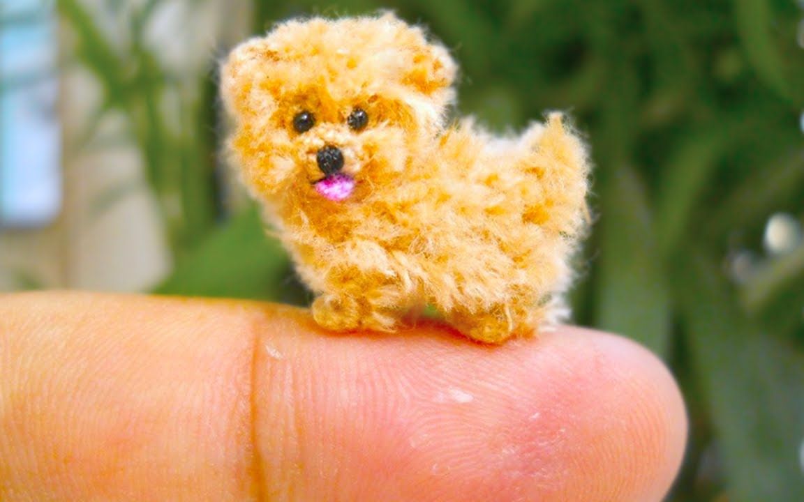 世界上最小的狗狗萌萌图片