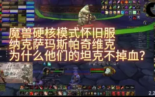 Download Video: 魔兽世界硬核模式怀旧服:他们是全球唯一能过NAXX帕奇维克的团队