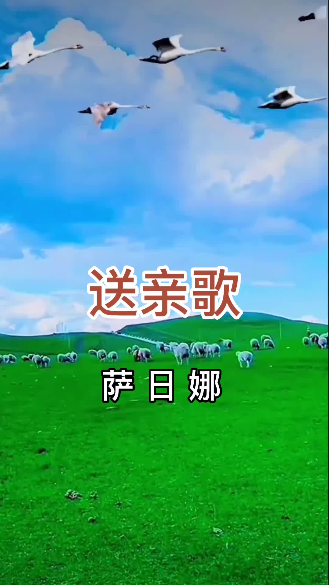 上热门关注萨日娜才艺主播送亲歌画你火遍全网抖音热歌支持抖音传