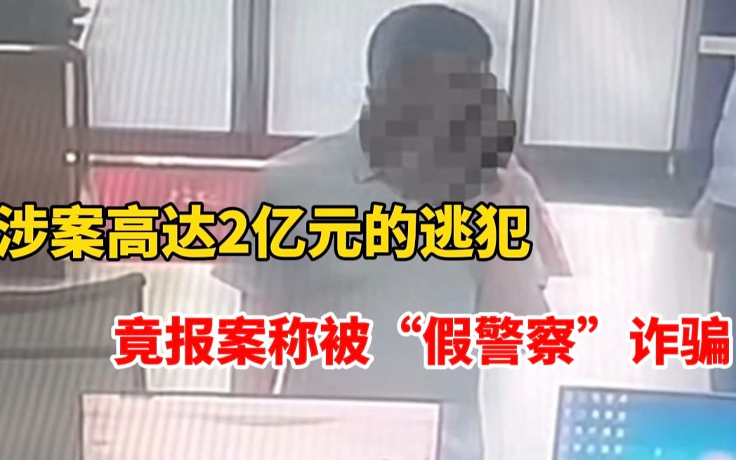 涉案高达两亿元的逃犯竟报案称被“假警察”诈骗,民警一查身份当场将其逮捕!哔哩哔哩bilibili